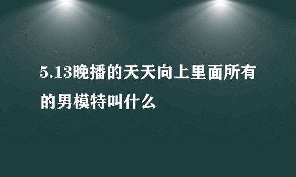 5.13晚播的天天向上里面所有的男模特叫什么