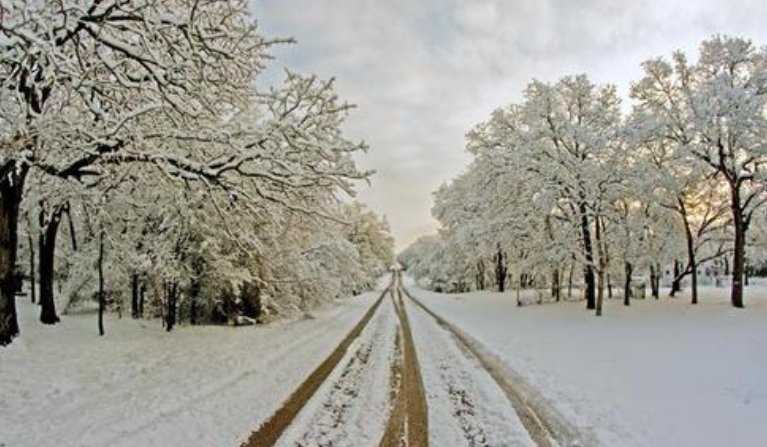 求《雪》的歌词？