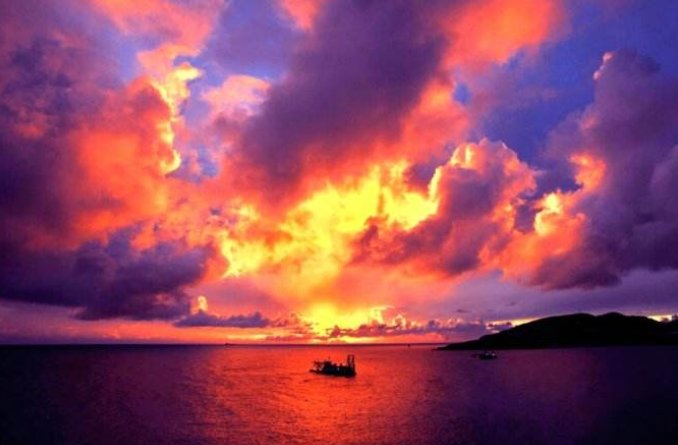 听说过怎么造句吗？