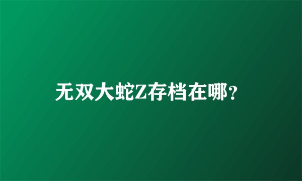无双大蛇Z存档在哪？