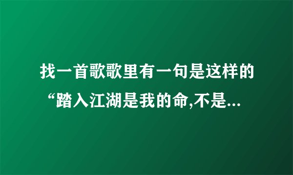 找一首歌歌里有一句是这样的“踏入江湖是我的命,不是甘愿做坏子，做兄弟以过时，”能提供下载链接吗？多谢