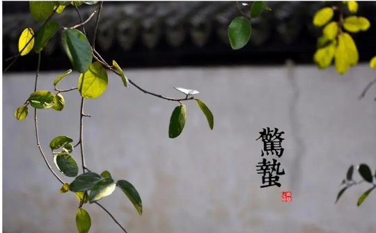 蚂蚁庄园惊蛰是什么意思