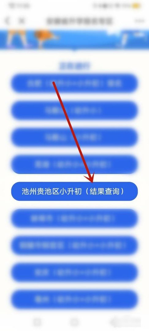 怎么查小学毕业成绩？