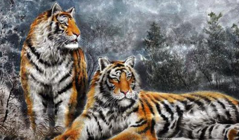 羽扇论巾打出一个动物生肖