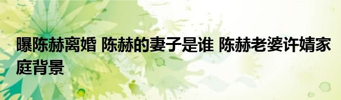 曝陈赫离婚陈赫的妻子是谁陈赫老婆许婧家庭背景