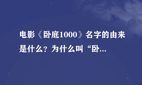 电影《卧底1000》名字的由来是什么？为什么叫“卧底1000”