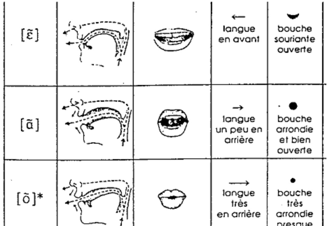 法语salut怎么读
