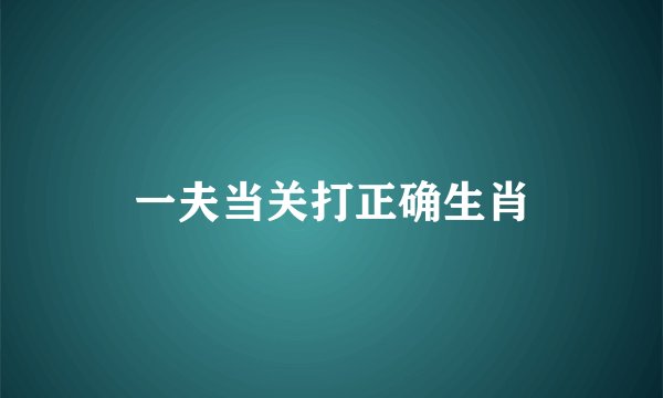 一夫当关打正确生肖