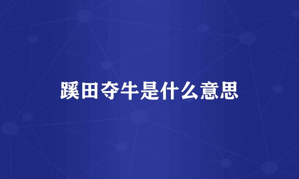 蹊田夺牛是什么意思