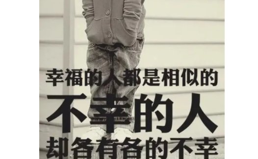 各有各的不幸上一句是什么?