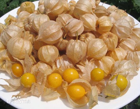 这是什么水果？