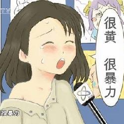 张殊凡的事件回顾