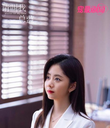 请叫我总监有多少集