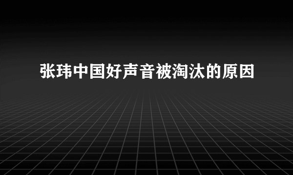 张玮中国好声音被淘汰的原因