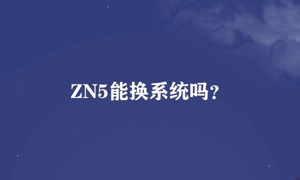 ZN5能换系统吗？