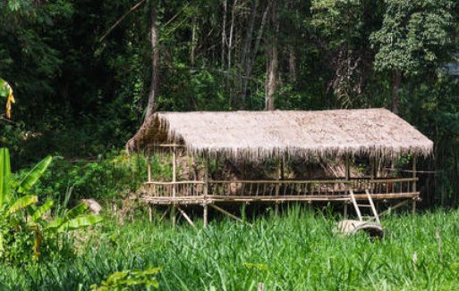 canopen草棚是什么？