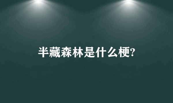 半藏森林是什么梗?