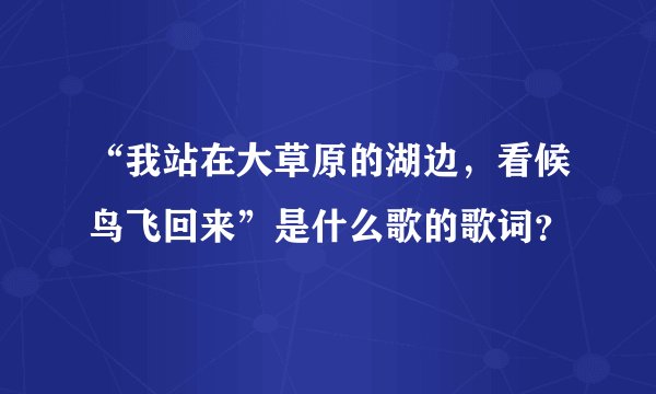“我站在大草原的湖边，看候鸟飞回来”是什么歌的歌词？