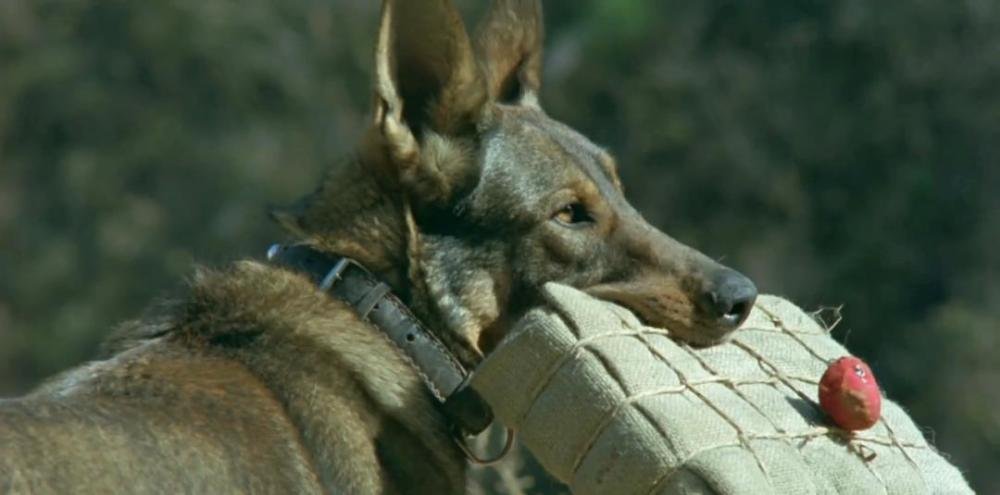 姚守岗被处置了吗？,