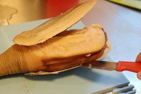 象拔蚌可以生吃吗 吃这种海鲜要注意的事项