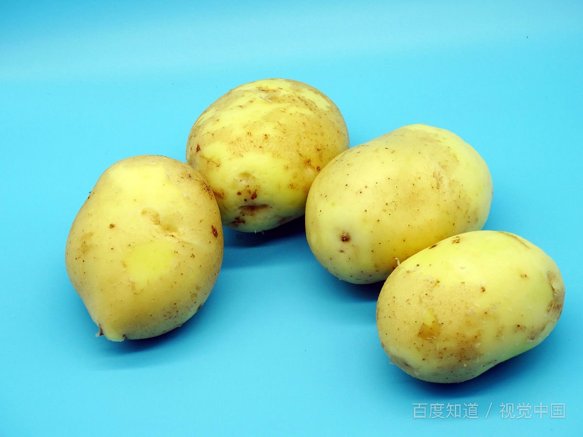 小的土豆在泥里还会长大吗？