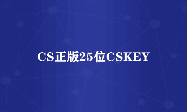 CS正版25位CSKEY
