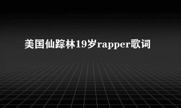 美国仙踪林19岁rapper歌词