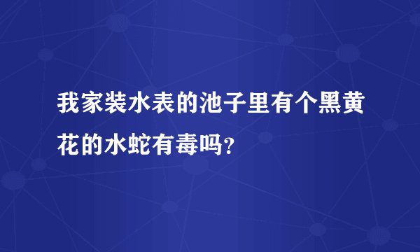 我家装水表的池子里有个黑黄花的水蛇有毒吗？
