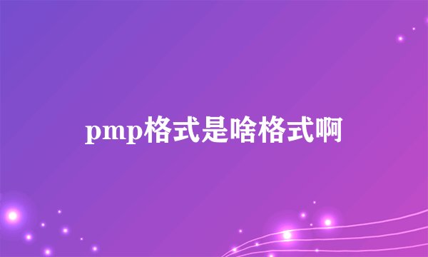 pmp格式是啥格式啊