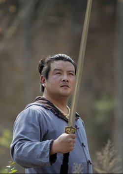 贾怀进的主要成就