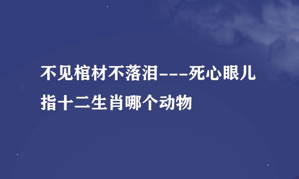 不见棺材不落泪---死心眼儿指十二生肖哪个动物