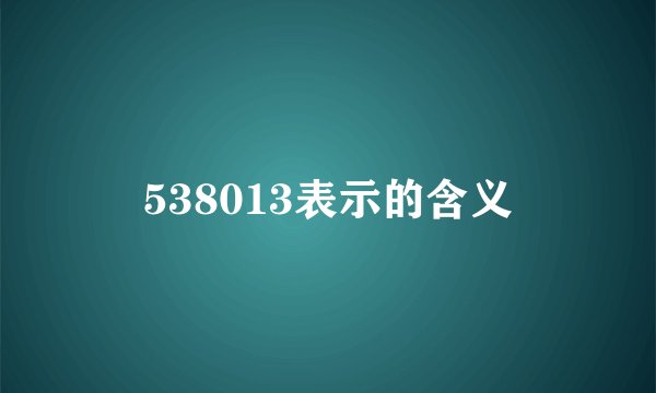 538013表示的含义