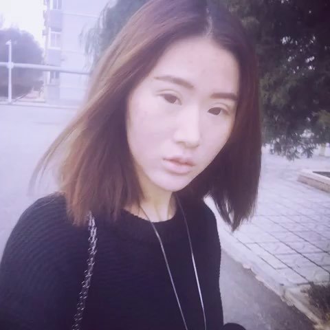 受不鸟的详细释义