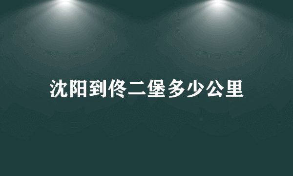 沈阳到佟二堡多少公里