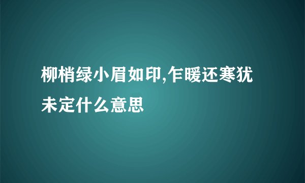 柳梢绿小眉如印,乍暖还寒犹未定什么意思
