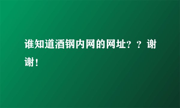谁知道酒钢内网的网址？？谢谢！