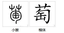 “萄”字除了可以组“葡萄”，还可以组什么词？