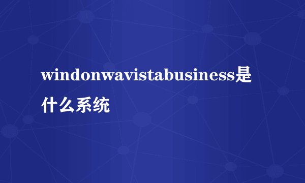 windonwavistabusiness是什么系统