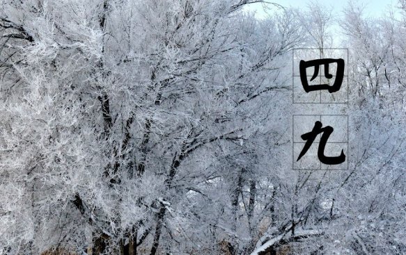 四九是什么节日