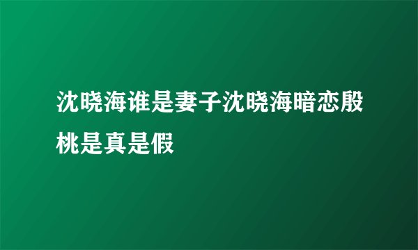 沈晓海谁是妻子沈晓海暗恋殷桃是真是假
