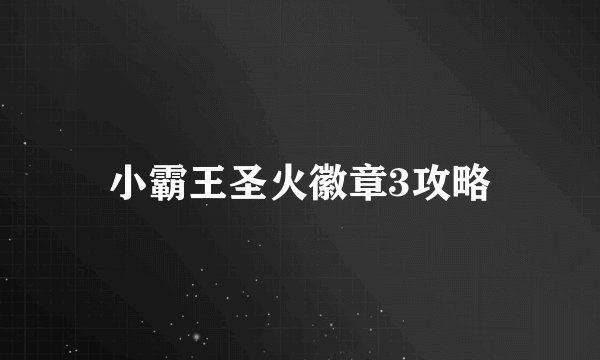 小霸王圣火徽章3攻略