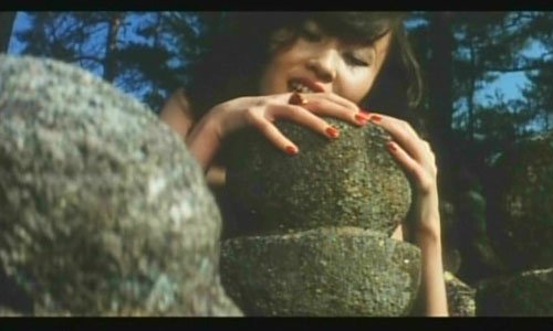 白昼下的情事之古都曼陀罗的介绍