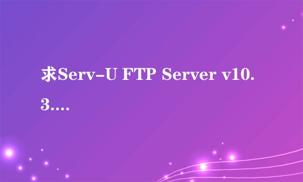 求Serv-U FTP Server v10.3.0.1 注册码