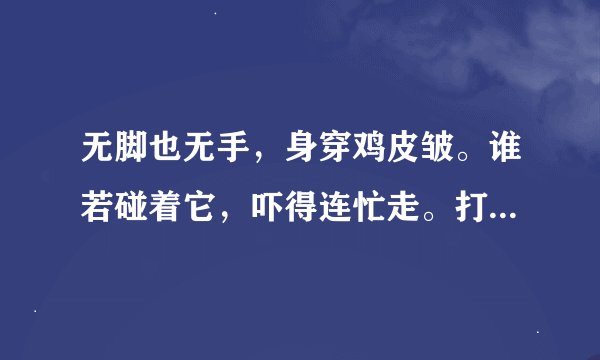 无脚也无手，身穿鸡皮皱。谁若碰着它，吓得连忙走。打一动物名，是什么动物？