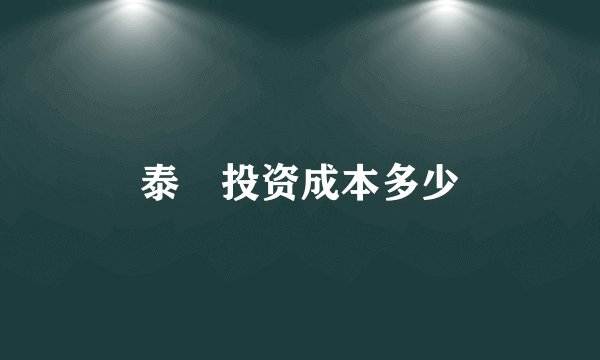 泰囧投资成本多少