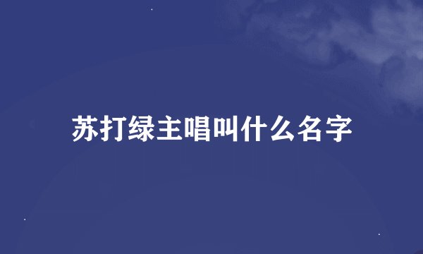 苏打绿主唱叫什么名字