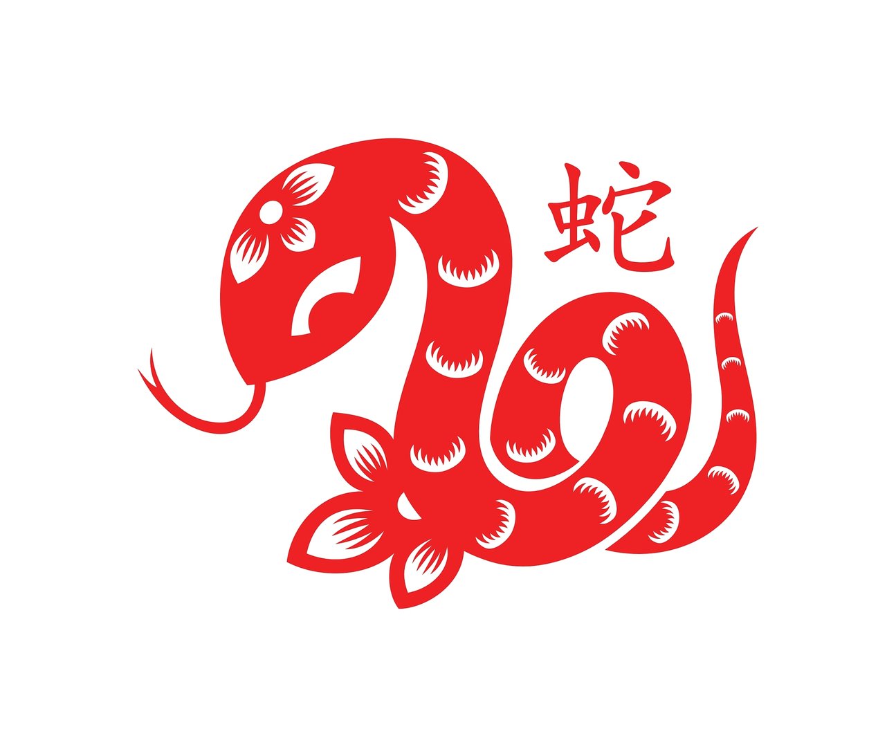 天生丽质美如画是什么生肖