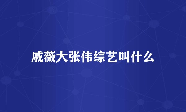 戚薇大张伟综艺叫什么