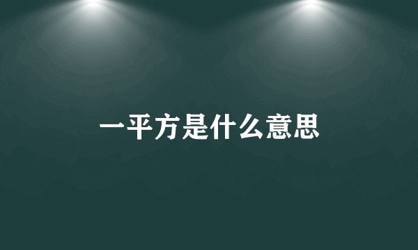 一平方是什么意思