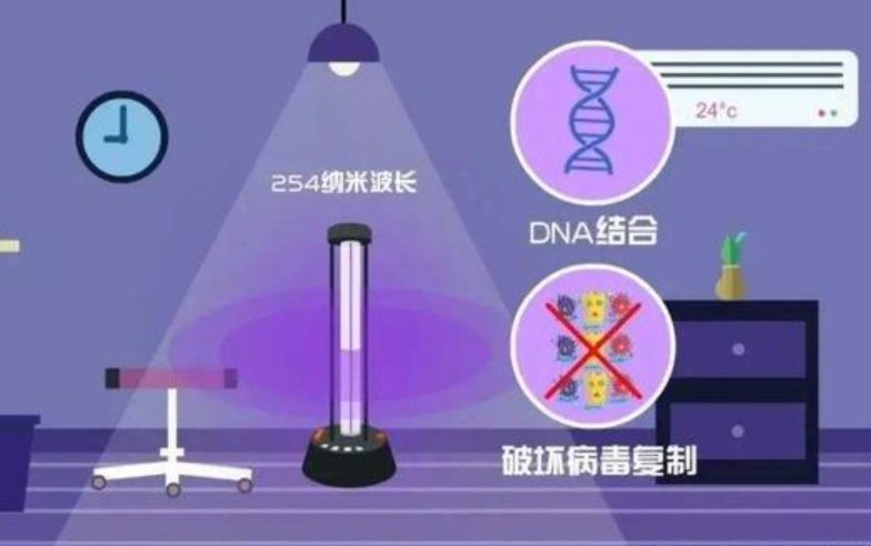 物理消灭泽连斯基是什么意思
